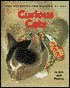 Curious Cats: In Art and Poetry