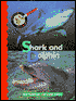 Shark and Dolphin