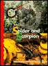 Spider and Scorpion