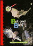 Bat and Bird