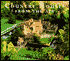 Country Houses from the Air