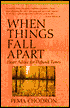 When Things Fall Apart: Heart Advice for Difficult Times