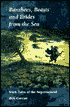 Banshees, Beasts and Brides from the Sea: Irish Tales of the Supernatural