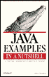 Java Examples in a Nutshell