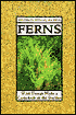 Ferns: Wild Things Make a Comeback in the Garden
