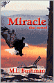 Miracle, The Novel