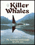 Pod of Killer Whales: The Mysterious Life of the Intelligent Orca