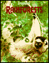 Tropical Rainforests