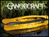 Canoecraft: A Harrowsmith Illustrated Guide to Fine Woodstrip Construction