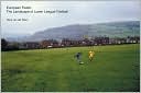 European Fields: The Landscape of Lower League Football