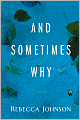 And Sometimes Why