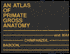 An Atlas of Primate Gross Anatomy