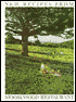 New Recipes from Moosewood Restaurant