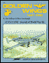 Golden Wings, 1941 to 1945: USN - USMC Aircraft in WWII