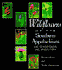 Wildflowers of the Southern Appalachians: How to Photograph and Identify Them