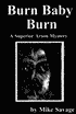 Burn Baby Burn: A Superior Arson Mystery