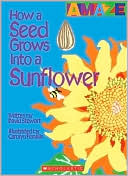 How a Seed Grows into a Sunflower