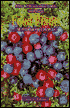 Food Plants of the Interior First Peoples