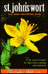 St. John's Wort: The Mood Enhancing Herb