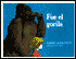 Gorilla Did It: Fue El Gorila