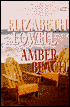 Amber Beach (Donovans Series #1)