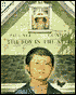 Boy in the Attic