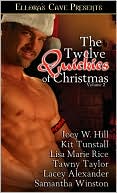 The Twelve Quickies of Christmas Volume 2