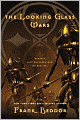 The Looking Glass Wars (Looking Glass Wars #1)