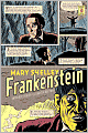 Frankenstein: Or the Modern Prometheus