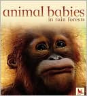 Animal Babies in Rainforest