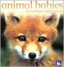 Animal Babies in Towns and Cities