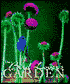 Bird Lovers Garden