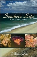 A Photographic Guide to Seashore Life in the North Atlantic: Canada to Cape Cod