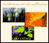 Meditations for the Millennium: Set