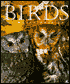 Birds of North America
