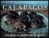 Spectacular Galapagos: Exploring an Extraordinary World