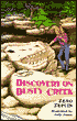 Discovery on Dusty Creek