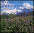 Washington Wildflowers