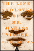 Life and Loves of Mr. Jiveass Nigger