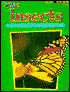 Insects Activity Book