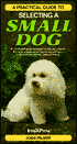 Practical Guide to Selecting a Small Dog