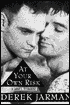 At Your Own Risk: A Saint's Testament