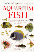 Aquarium Fish