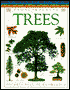 DK Pockets: Trees