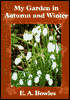 My Garden in Autumn and Winter