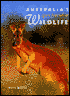 Australia's Spectacular Wildlife