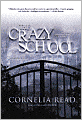 The Crazy School (Madeline Dare Series #2)