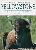 download Pictorial Souvenir of Yellowstone, A : With German, Spanish, Mandarin and Japanese book