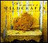 Summer Wild Crafts: Inspirational Projects Harvested from Nature