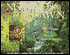Nomads of the Dawn: The Penan of the Borneo Rain Forest